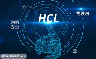 深度解析HCL软件外包服务 现状、优势与挑战